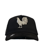GALLO BB