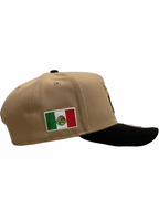 YAQUIS OBREGÓN  9FIFTY A-Frame