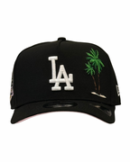LA - A Frame 9FIFTY